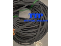 Gioăng cao su ống cống TG 19x25 D600