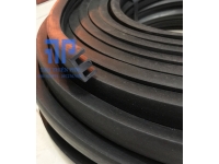 Gioăng cao su ống cống D300